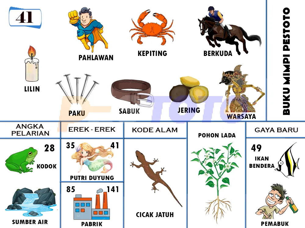buku mimpi erek erek togel 41