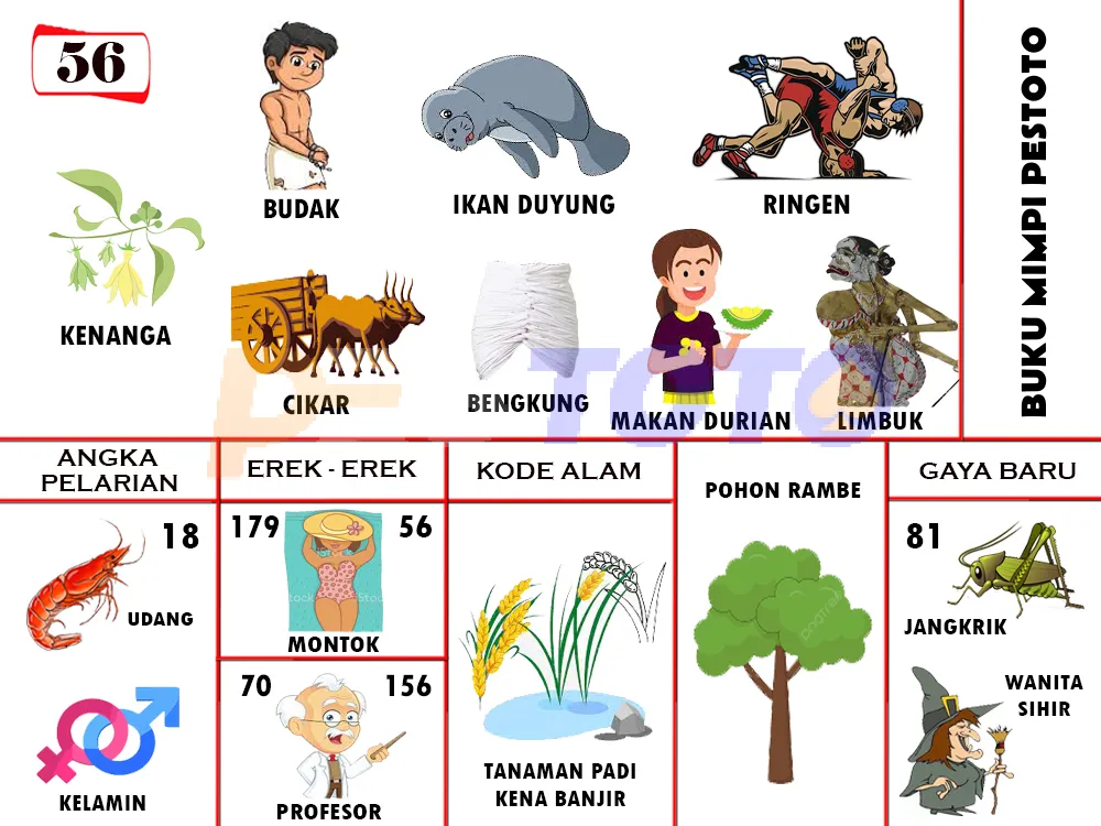 buku mimpi erek erek togel 56